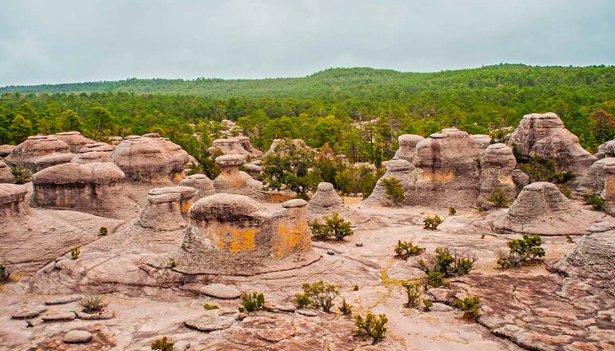 Una fotografa del estado de Durango