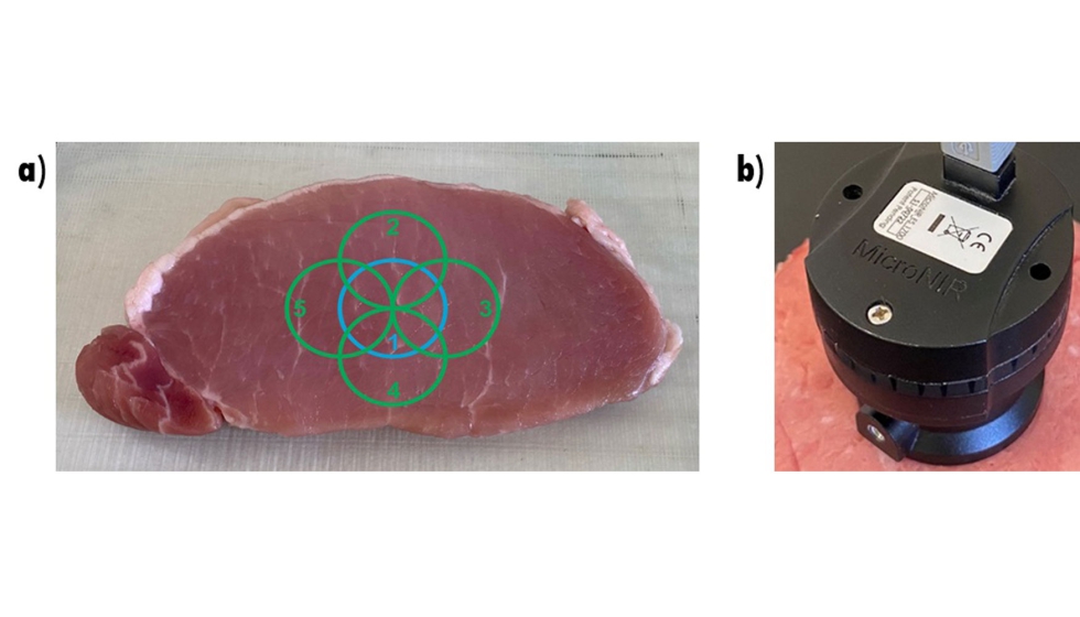 Figura 2. A) Puntos de registro del espectro NIRS y b) Sonda utilizada