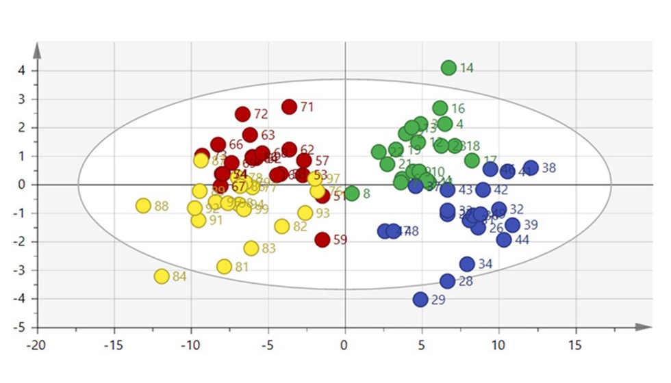 Figura 3. Grfico de puntuacin OPLS-DA para las muestras de los cuatro grupos analizados: C1 (verde), E1 (azul), C2 (rojo) y E2 (amarillo)...