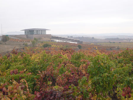 Paisaje de viedos de la Rioja