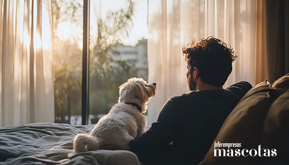 Segn datos de ANFAAC, hay 20 millones de animales de compaa en Espaa, reflejando un cambio social en los modelos de convivencia...