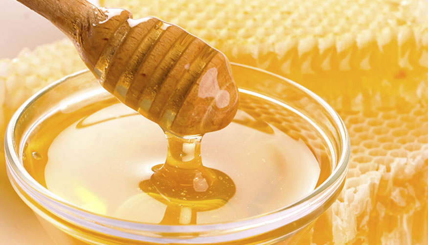 La produccin de miel de 2025 ha sido histricamente baja