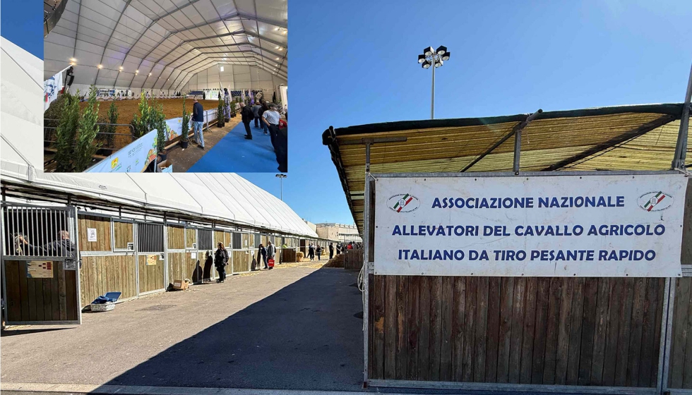 El caballo goz� de un espacio propio en Agrilevante 2025