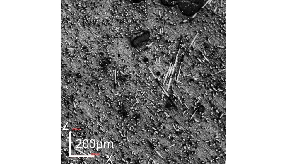 Distribucin de fibras con Voxelfill