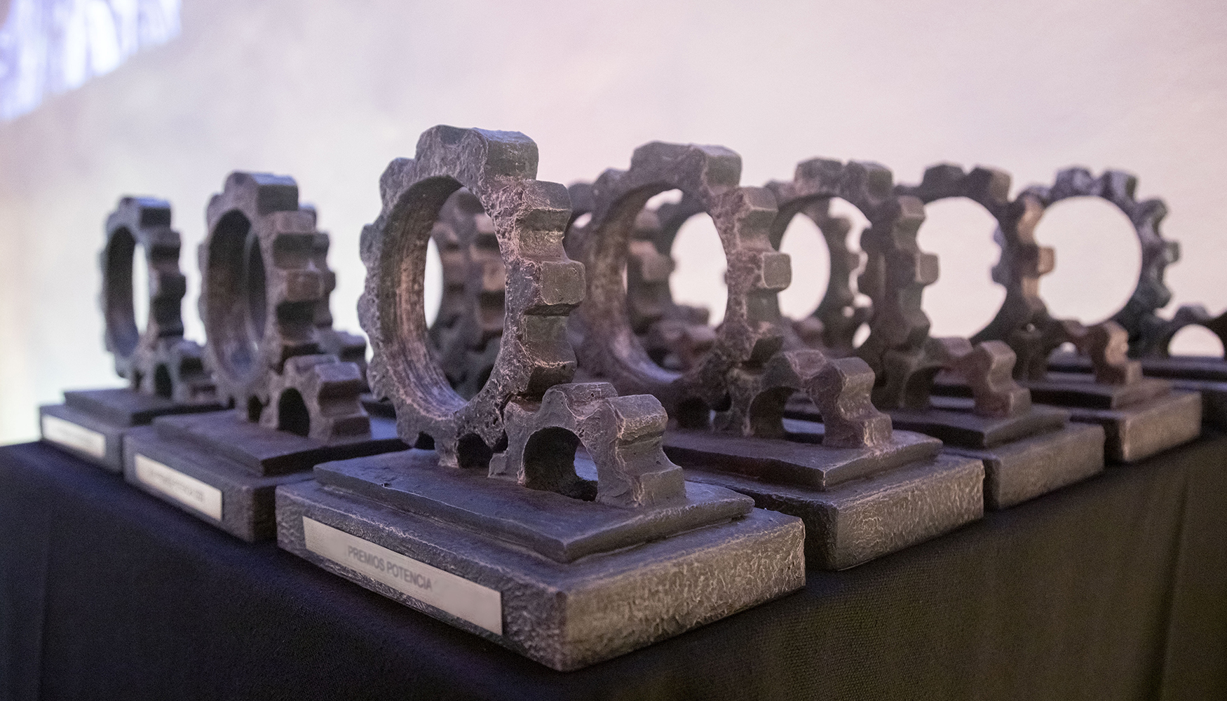 El prximo 20 de noviembre se entregarn 19 estatuillas durante la celebracin de los XIX Premios Potencia
