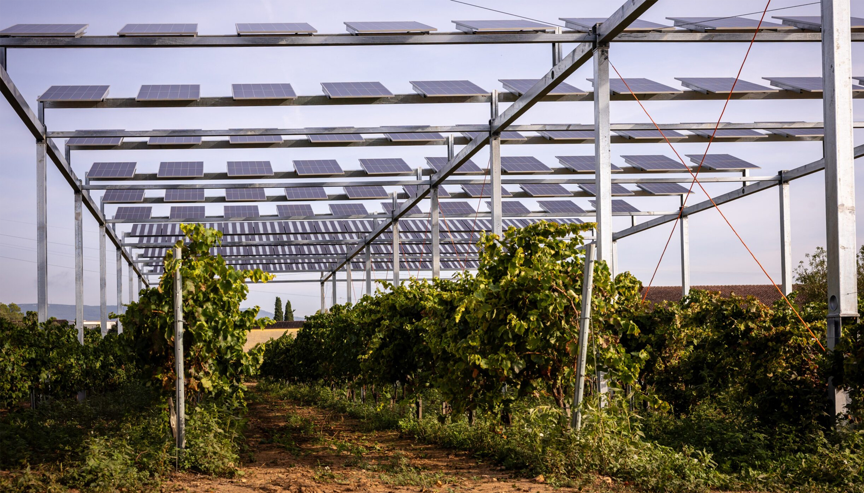 El conocimiento adquirido con ambas plantas piloto permitir ajustar futuros proyectos agrovoltaicos a las particularidades de cada territorio...