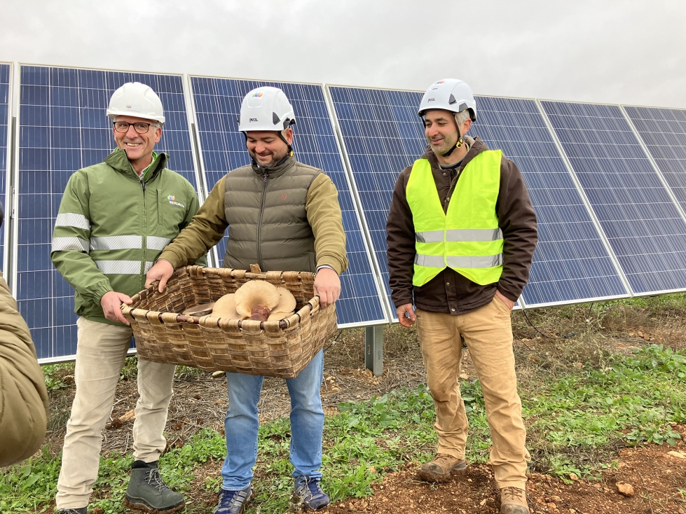Recolecta de setas en la planta burgalesa Revilla Vallejera