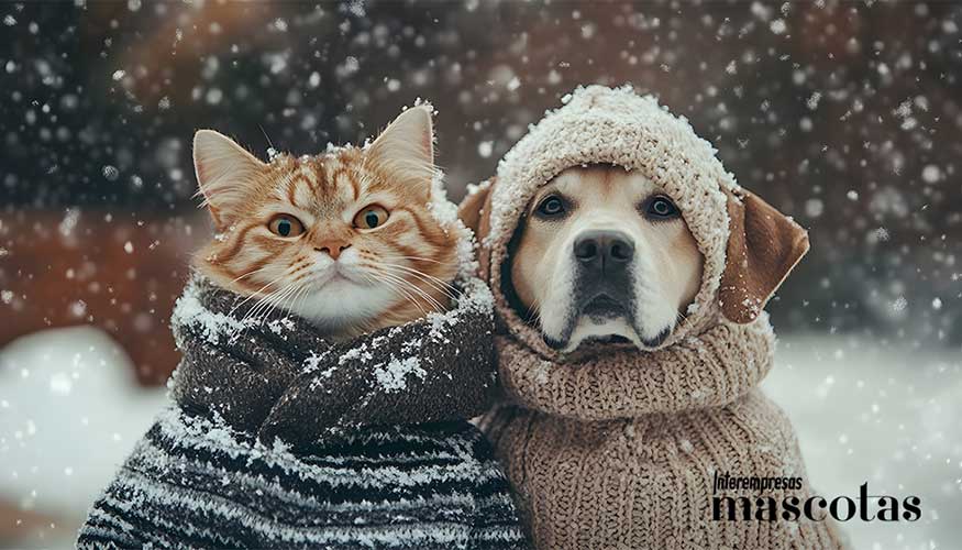 Mantener la temperatura del hogar, adaptar la alimentacin y reforzar la hidratacin son algunas de las recomendaciones