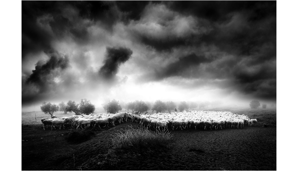 Tercer premio. Mundo Rural I, de Antonio Atanasio Rincon (Villarrubia de los Ojos, Ciudad Real)