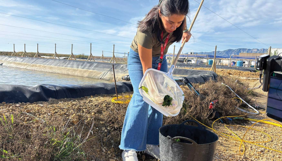 Tcnica del IRTA realizando pruebas para el proyecto BLUEBOOST