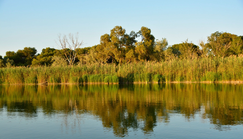Martnez Mus precis que el salto del 45 al 75 % en reutilizacin supone un gasto adicional de 513.000 euros respecto a la situacin actual...