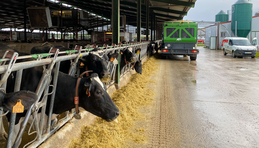 Explotaci�n de vacas de leche