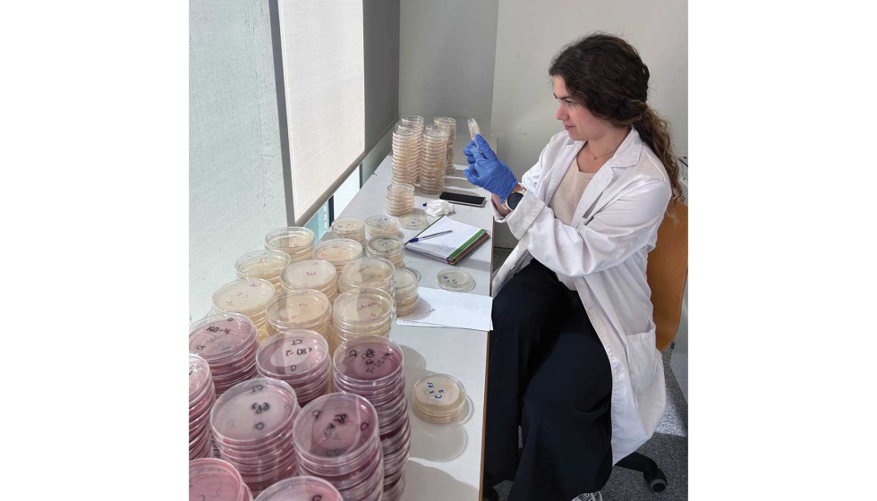 O projeto criou embalagens a partir de palha de arroz, engao e bagao de uva e resduos da produo de orchata