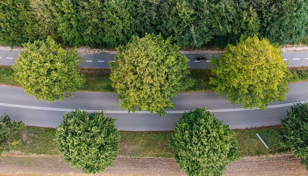 La hegemona europea en el ranking se debe a un fuerte compromiso poltico, a menudo impulsado y apoyado por los ciudadanos locales...