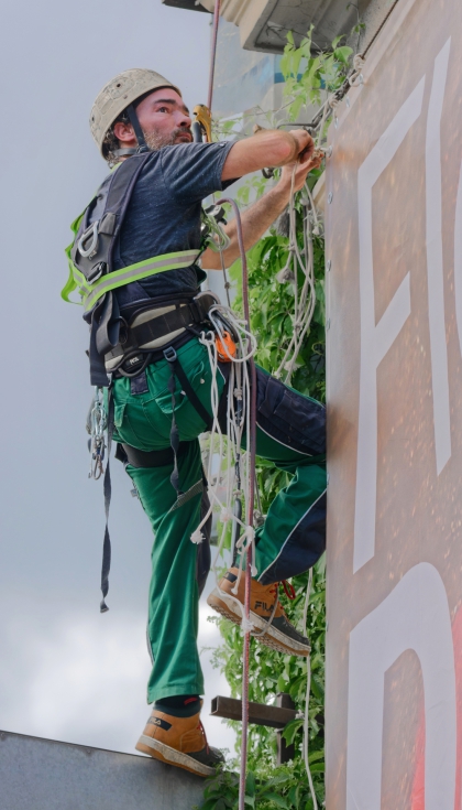 Entre los cambios destacan la actualizacin de normas para orejeras y tapones con entrada de audio, arneses de asiento...
