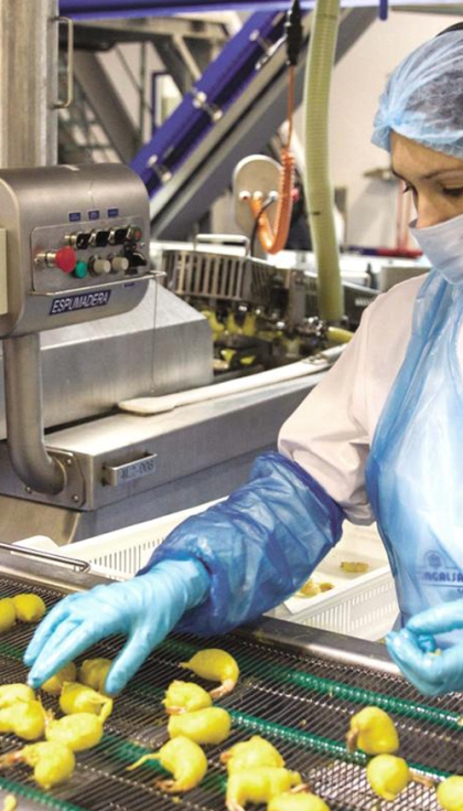 En los EPI para la proteccin de ojos y cara, se revisan las normas para gafas y pantallas faciales...