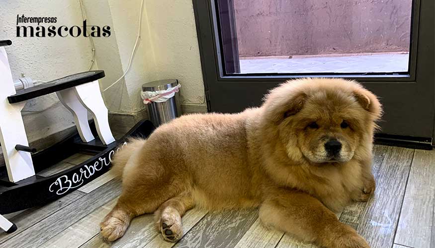 La cosmtica y los tratamientos teraputicos se aplican de manera precisa para mantener la piel saludable y el pelo con volumen y brillo...