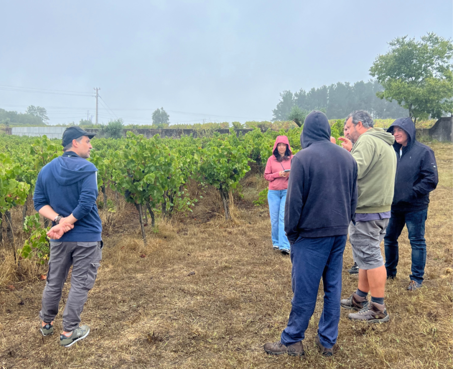 CarboFarmHub ha consolidado una red activa que conecta a agricultores, j�venes estudiantes de FP agraria, investigadores y autoridades p�blicas...