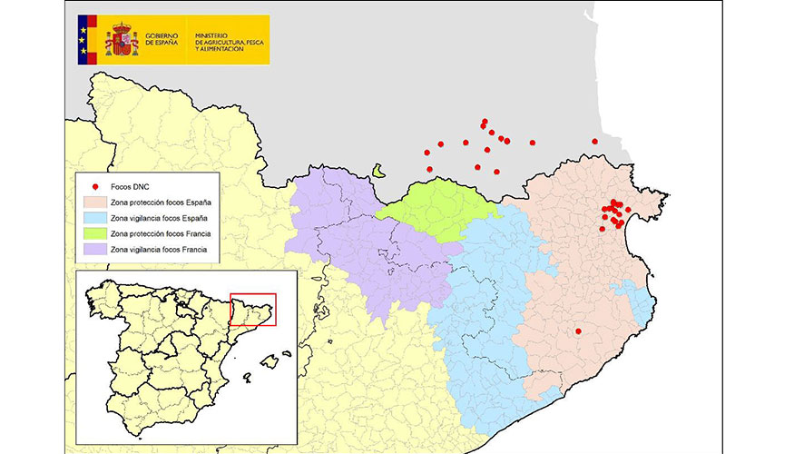 Foto de Espaa ya cumple un mes sin nuevos casos de dermatosis nodular contagiosa