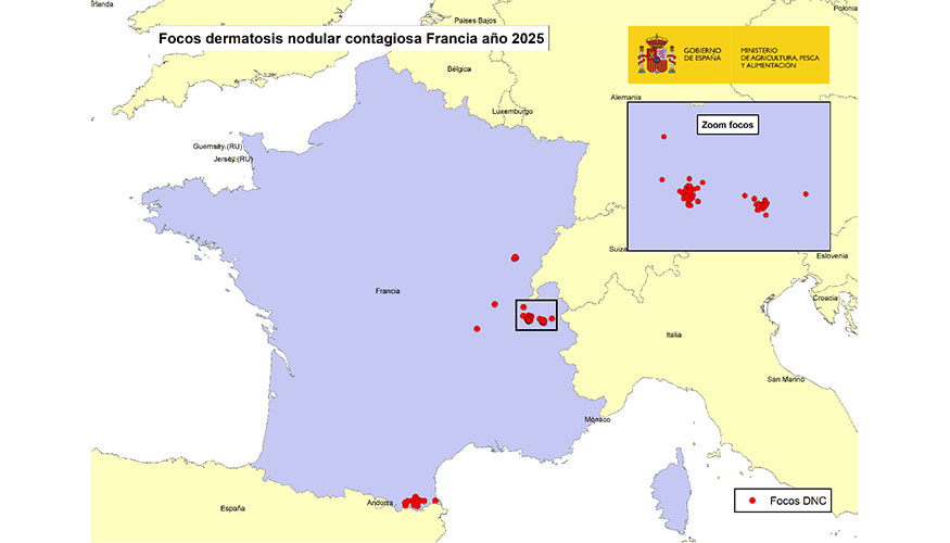 Localizacin de los focos de dermatosis nodular contagiosa en Francia. Fecha de actualizacin: 20/11/2025