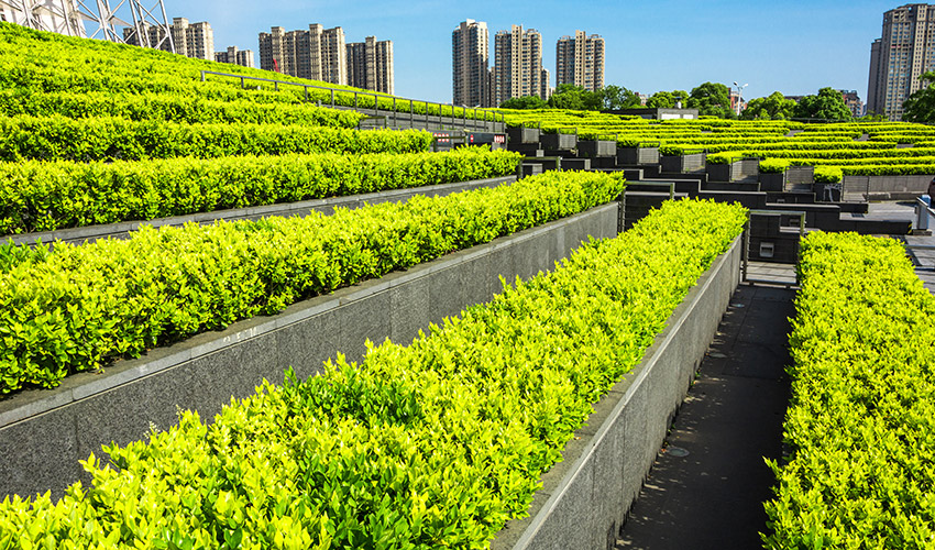 Foto de El sector del paisaje y la jardinera encara 2026 con ms unidad, profesionalizacin y demandas