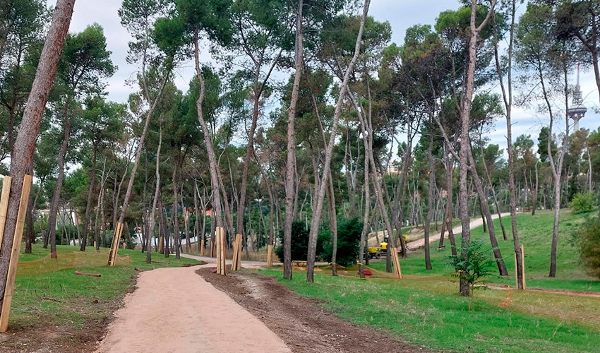 Zona arbolada en Pinar de la Elipa