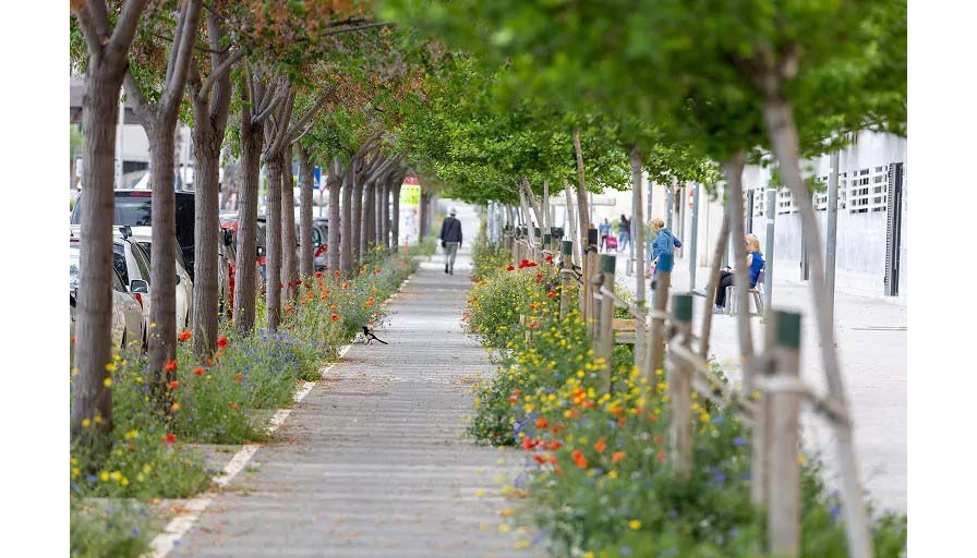 El municipio de Viladecans servir� de ejemplo pr�ctico con proyectos de movilidad sostenible, eficiencia energ�tica e infraestructura verde...