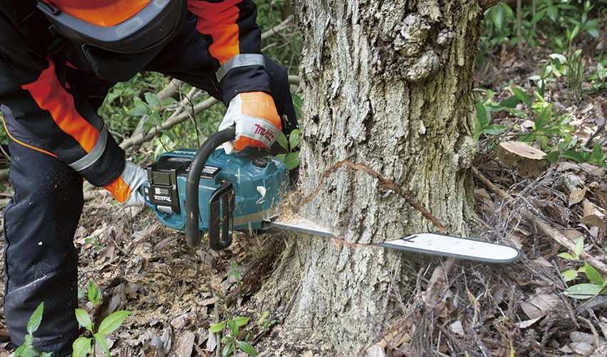 Diseada para entornos profesionales exigentes, la UC030G incorpora motor sin escobillas...