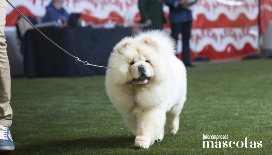 Alaska de Los Granadillos