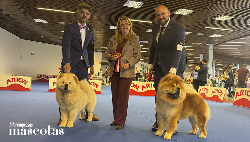 Multi CH Gran Capitn de Los Granadillos y Aslan de Los Granadillos con Antonio Luis Gmez y Fran Martn