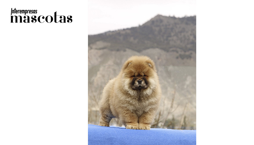 Furia de Los Granadillos