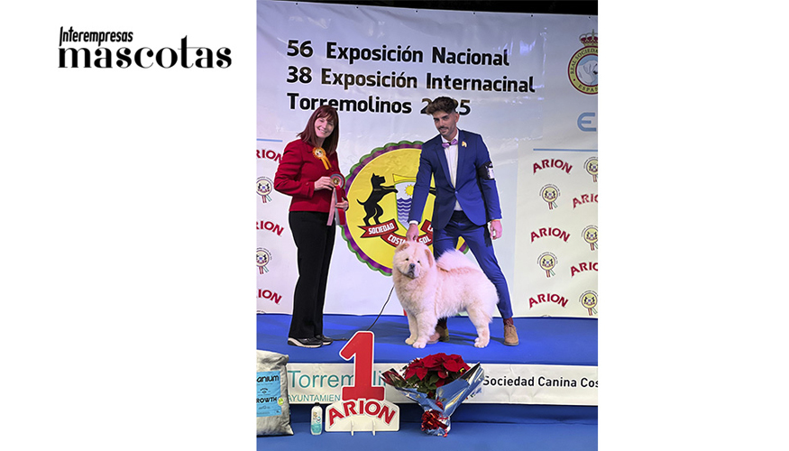 Aslan de Los Granadillos