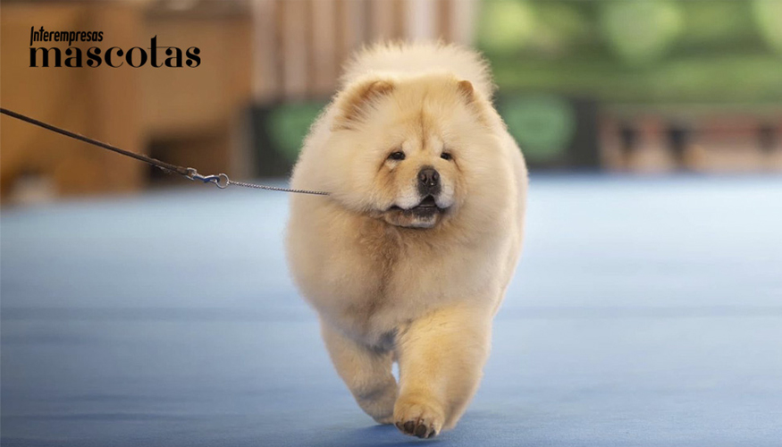 Alaska de Los Granadillos