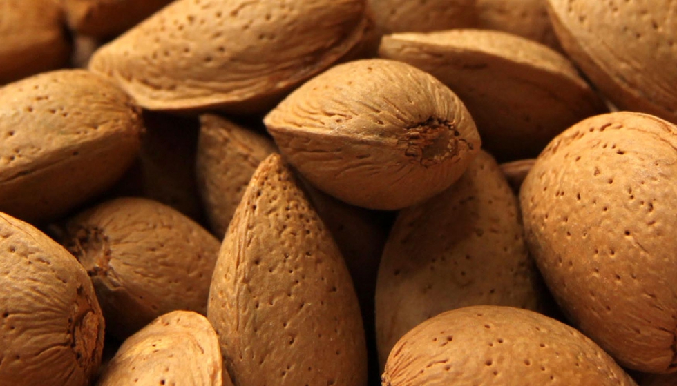 Espaa compite en mercados globales muy exigentes y necesita complementar su produccin interna con almendra de otros orgenes...