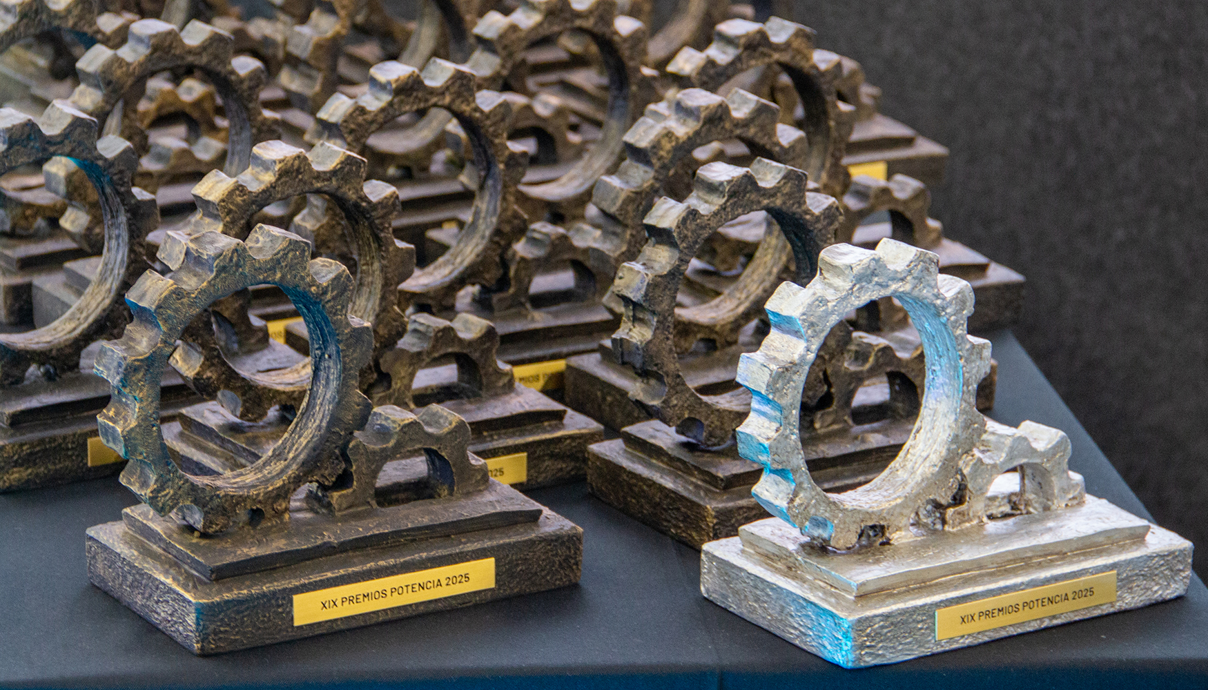 Las estatuillas que recibieron los ganadores de los XIX Premios Potencia