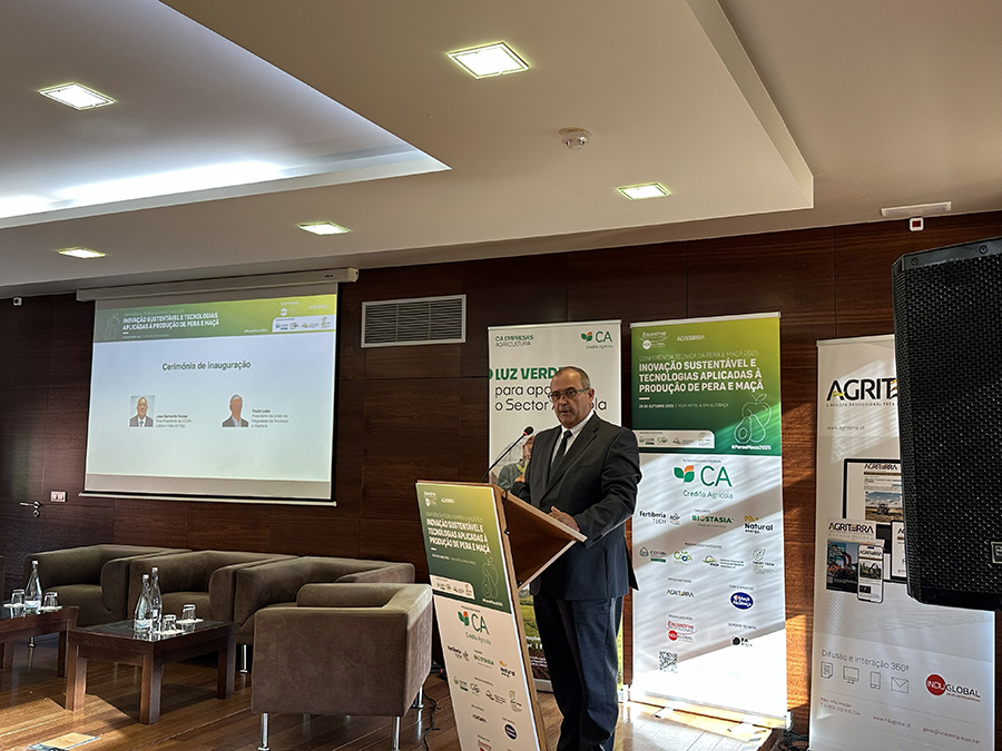 Jos Bernardo Nunes, vice-presidente da CCDR - Lisboa e Vale do Tejo