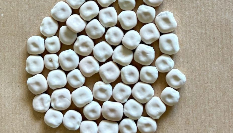 'Lupinus albus' variedad �Orden Dorado�