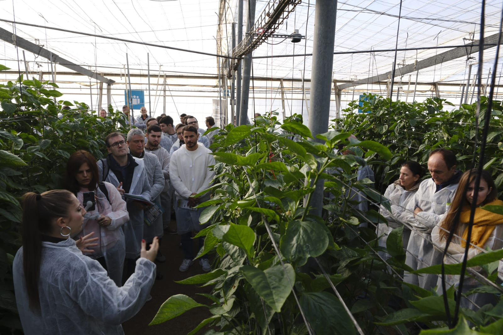 Inmaculada Rodrguez, de Ikos Advanced, muestra las soluciones tecnolgicas que han desarrollado para su aplicacin en invernadero...