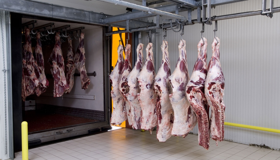 Canales de carne en una industria crnica