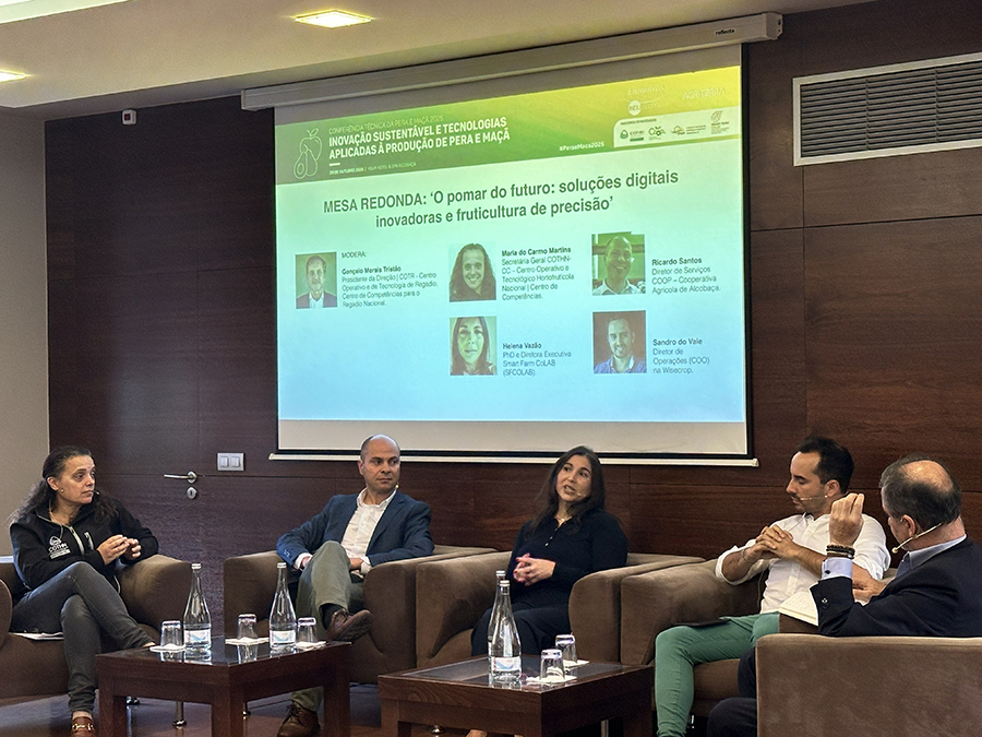 Da esquerda para a direita...