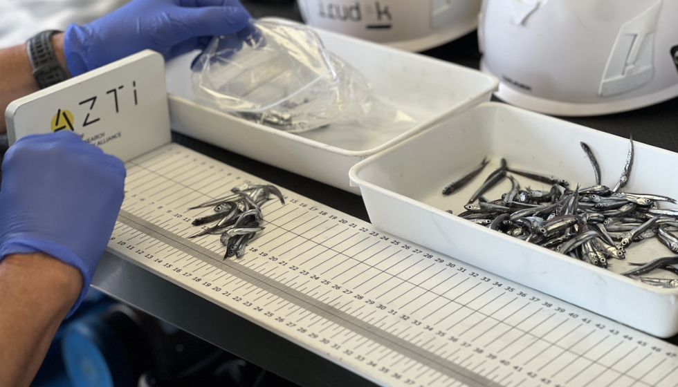 La campaa cientfica JUVENA 2025, coordinada por Azti y promovida por el Gobierno Vasco, estima una biomasa de 544...