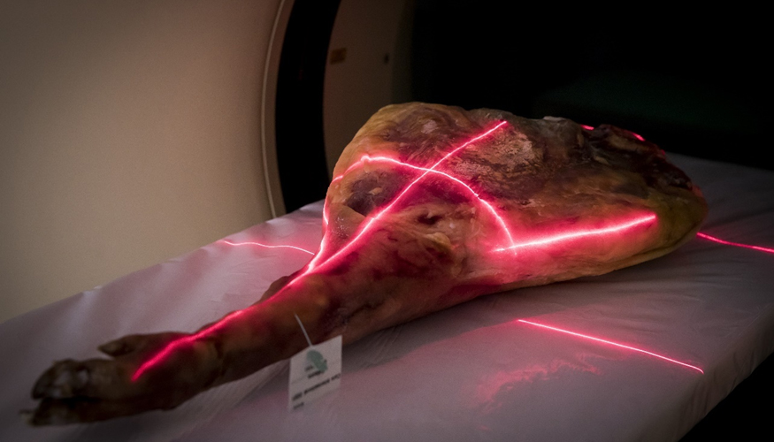 Un jamn escaneado en el TAC del IRTA Monells. Foto: IRTA. CC by 3.0.