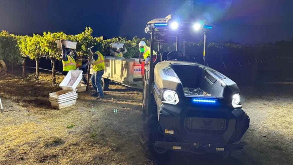 Tractor Monarch en trabajos de vendimia