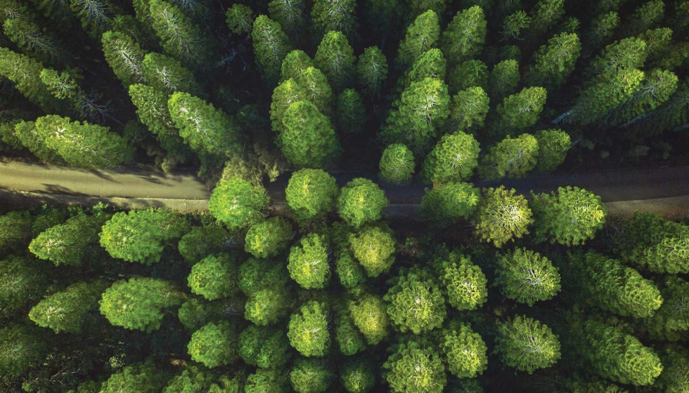 La sostenibilidad en arquitectura empieza por la eleccin de materiales con menor huella ambiental