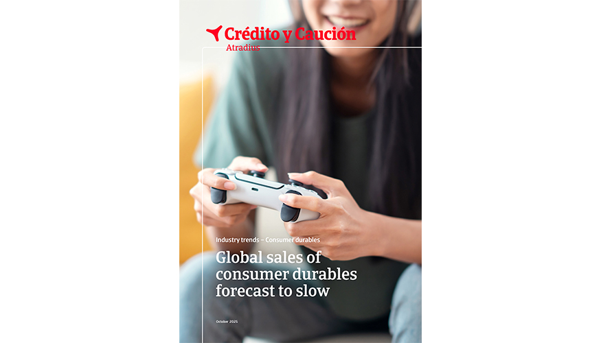 Informe sobre el sector de bienes de consumo duraderos publicado por Crdito y Caucin