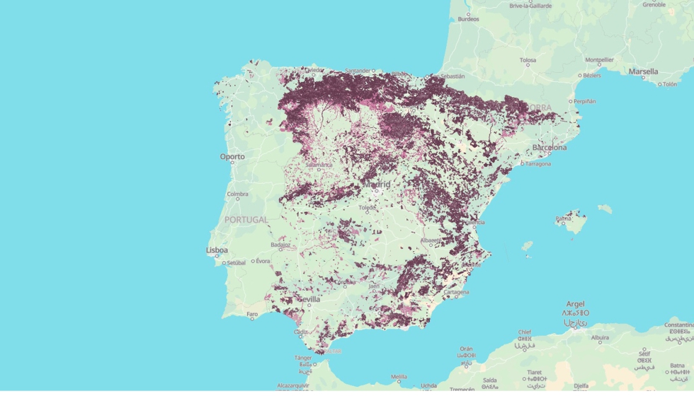 As se ve el mapa de Espaa con el visor cuando se destacan los Montes Pblicos y los Montes de Utilidad Pblica a la vez...