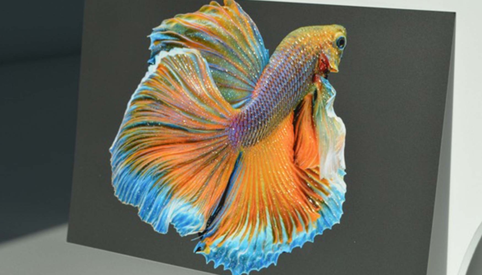 Muestra realizada Duplo DuSense DDC-810 PRO