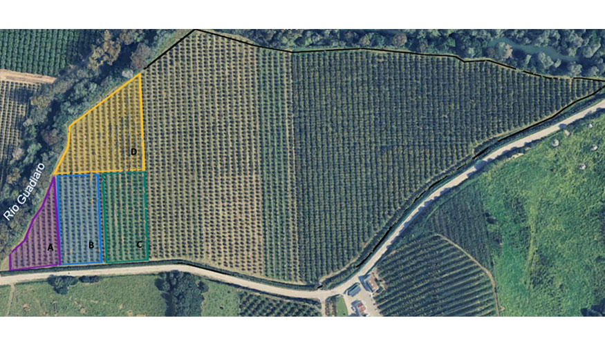 Imagen 1. Detalle de la finca seleccionada y de las cuatro divisiones realizadas