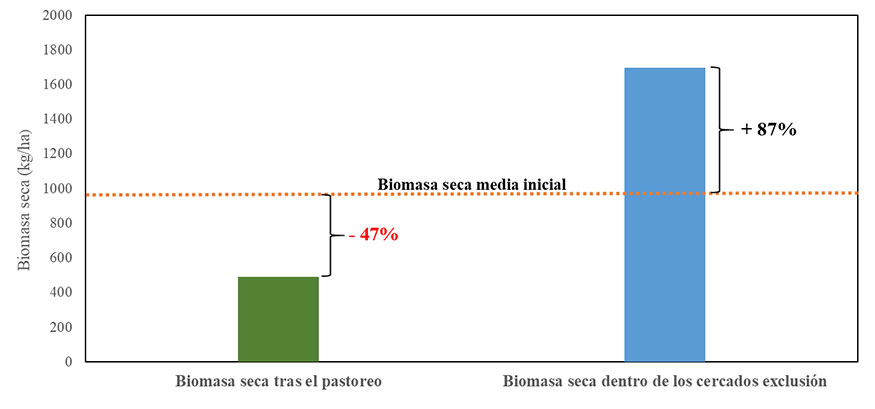 Figura 1. Representaci�n de los cambios producidos en la biomasa seca de las muestras de vegetaci�n obtenidas