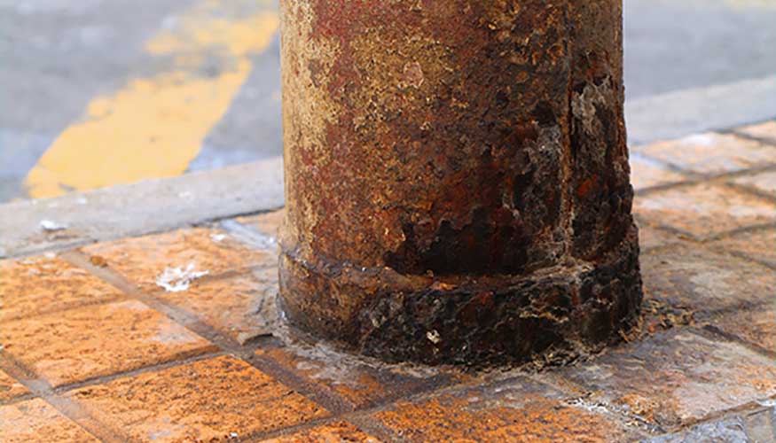 Impacto de la corrosin causada por la orina de perro en columnas de alumbrado pblico...